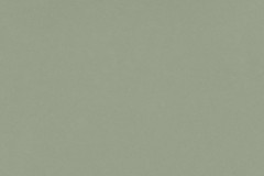 posidonia-green